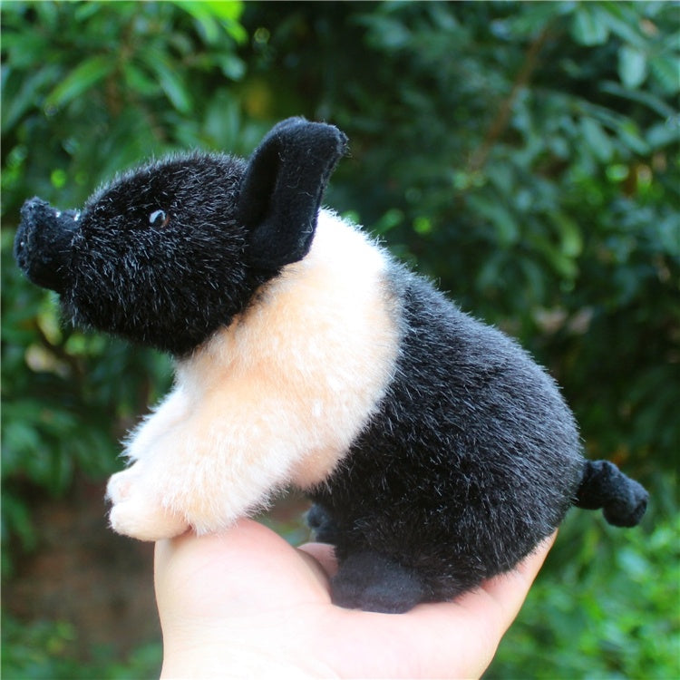 Cute Piglet Doll Bama Fragr Ant Pig Plush Toy