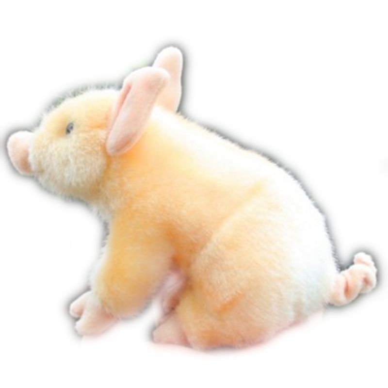 Cute Piglet Doll Bama Fragr Ant Pig Plush Toy